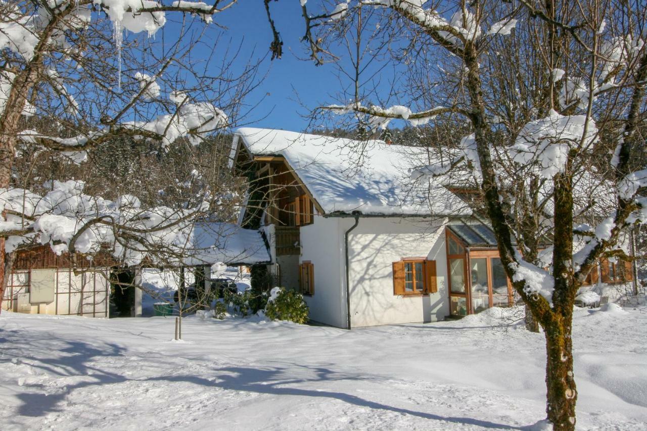 Villa Anna Bad Goisern Am Hallstaettersee Exterior photo